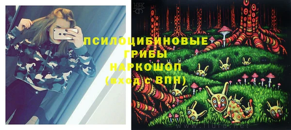 Альфа ПВП Новодвинск