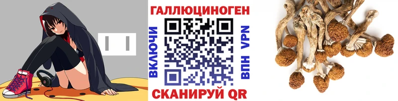 Псилоцибиновые грибы Psilocybine cubensis  Белоозёрский 