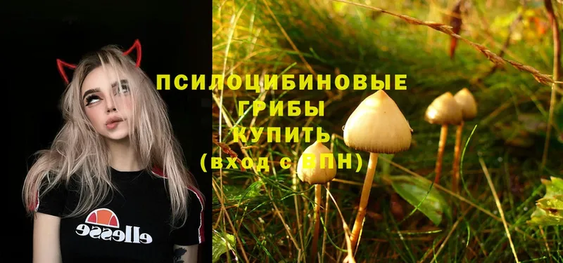 Галлюциногенные грибы MAGIC MUSHROOMS  Белоозёрский 